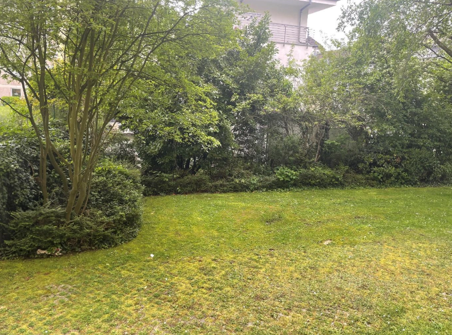 Bingener - Immobilien - Haus